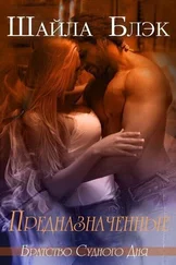 Шайла Блэк - Предназначенные (ЛП)