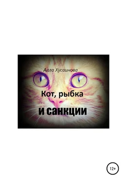 Алла Хусаинова Кот, рыбка и санкции обложка книги