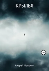 Андрей Манохин - Крылья