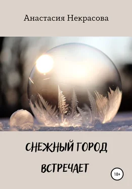 Анастасия Некрасова Снежный город встречает обложка книги