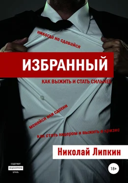 Николай Липкин Избранный обложка книги