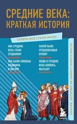 А. Николаева - Средние века - краткая история. Знания, которые не займут много места