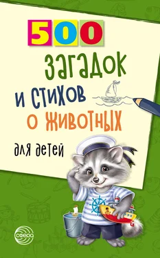 Александр Волобуев 500 загадок и стихов о животных для детей обложка книги