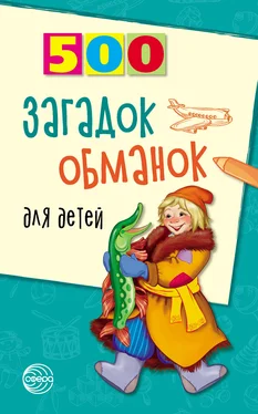 Инесса Агеева 500 загадок-обманок для детей обложка книги
