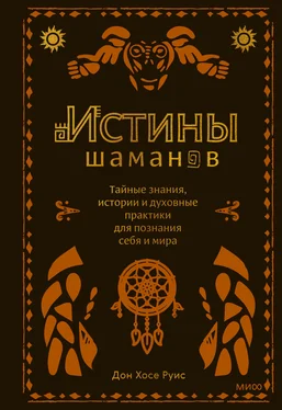 Дон Хосе Руис Истины шаманов. Тайные знания, истории и духовные практики для познания себя и мира обложка книги