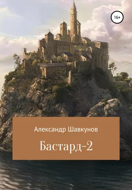 Александр Шавкунов Бастард-2 обложка книги