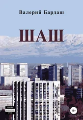 Валерий Бардаш - Шаш