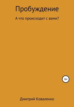 Дмитрий Коваленко Пробуждение обложка книги