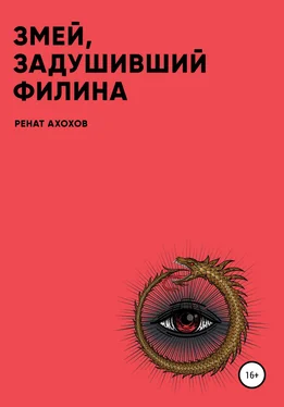 Ренат Ахохов Змей, задушивший филина обложка книги