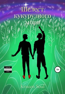 Kristen Soul Шелест кукурузного моря обложка книги