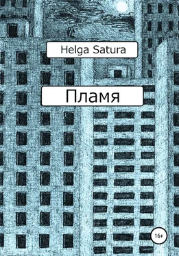 Helga Satura Пламя обложка книги