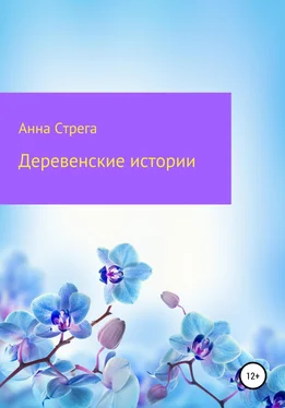 Анна Стрега Деревенские истории обложка книги