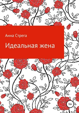 Анна Стрега Идеальная жена обложка книги