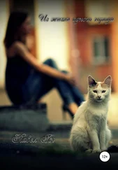 Павел Ан - Из жизни одного города