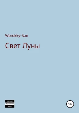 Worokky-San Свет Луны обложка книги