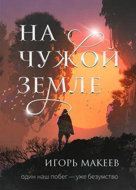 Игорь Макеев На чужой земле обложка книги