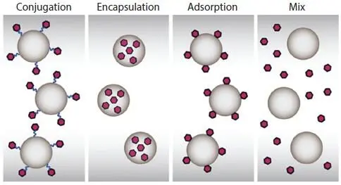 Figure 11 The interactions of NPs with the target antigen Reproduced - фото 2