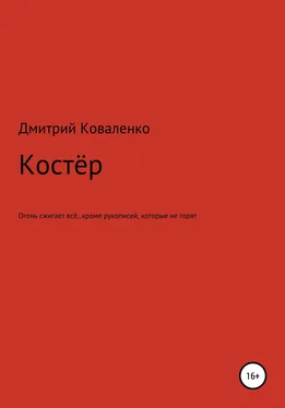 Дмитрий Коваленко Костёр обложка книги
