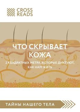 Екатерина Никитина Саммари книги «Что скрывает кожа. 2 квадратных метра, которые диктуют, как нам жить» обложка книги