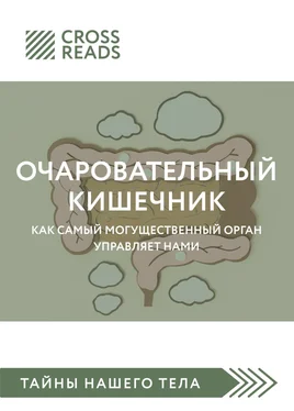 Елена Селина Саммари книги «Очаровательный кишечник. Как самый могущественный орган управляет нами» обложка книги