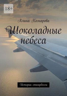 Алина Комарова Шоколадные небеса. Истории стюардессы обложка книги