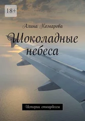 Алина Комарова - Шоколадные небеса. Истории стюардессы