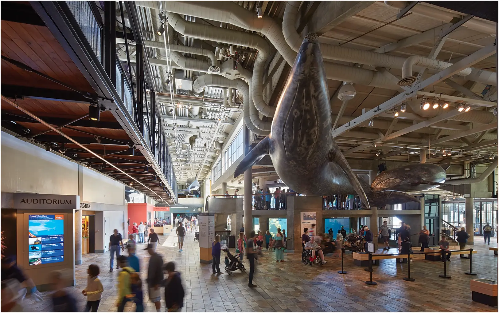The Monterey Bay Aquarium Its twostory otter habitat is centerright below - фото 2