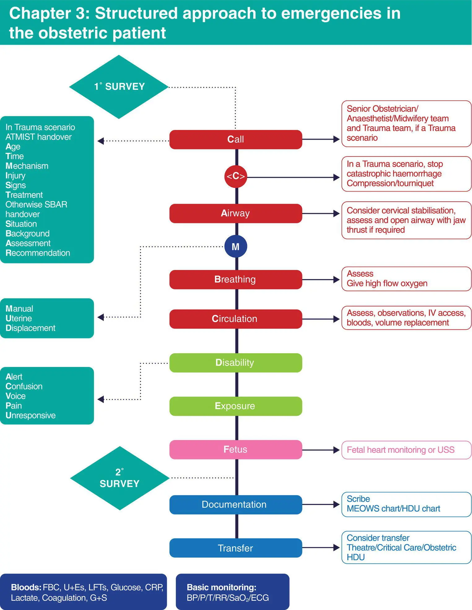 Algorithm 31 Structured approach to emergencies in the obstetric patient - фото 5