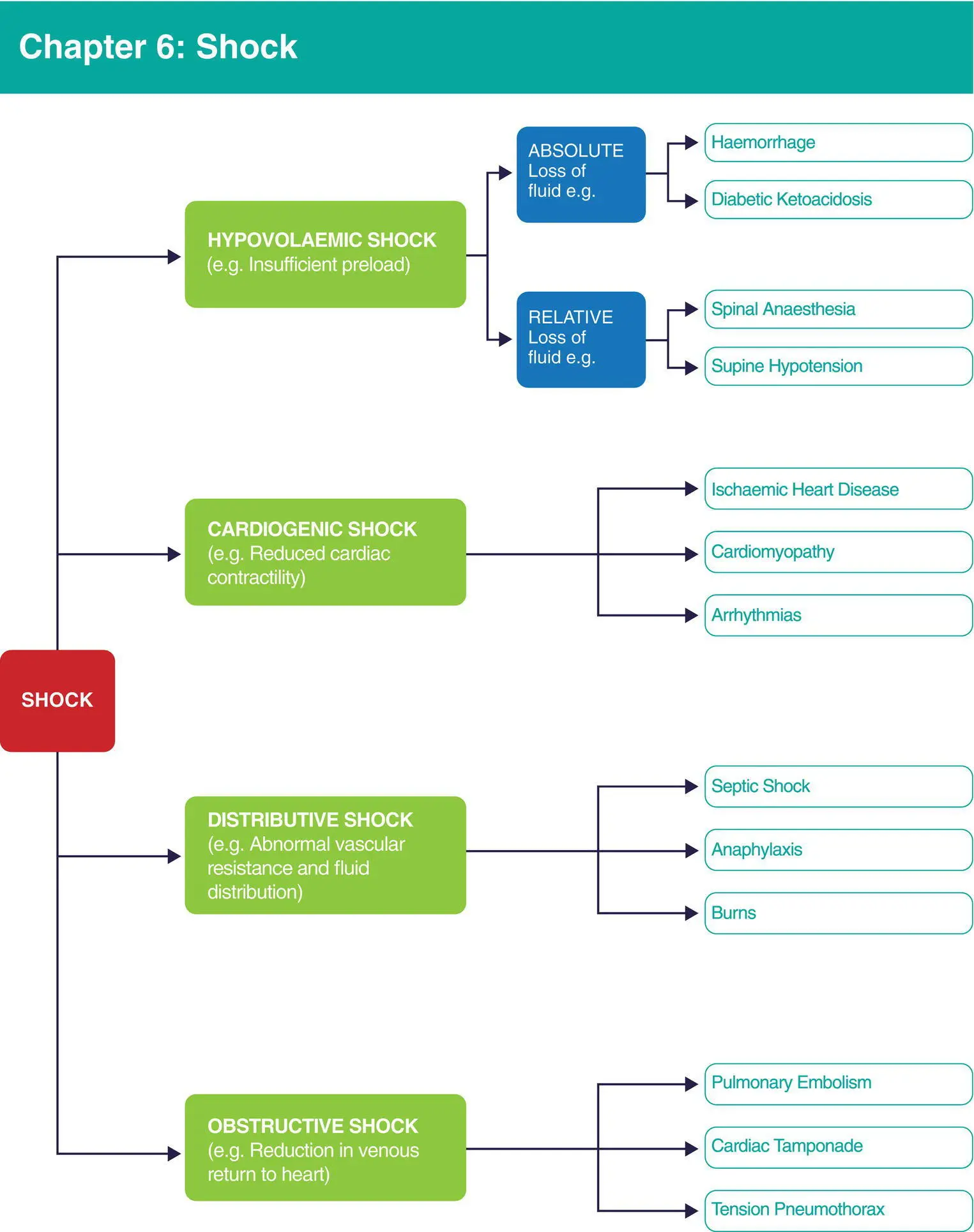 Algorithm 61 Shock Learning outcomes After reading this chapter you will - фото 11
