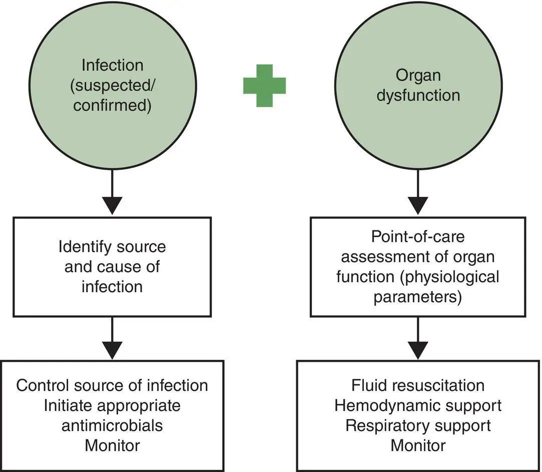 Figure 71 Approach for implementation of the new WHO definition of maternal - фото 15