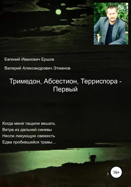 Евгений Ершов Тримедон, Абсестион, Терриспора – Первый обложка книги