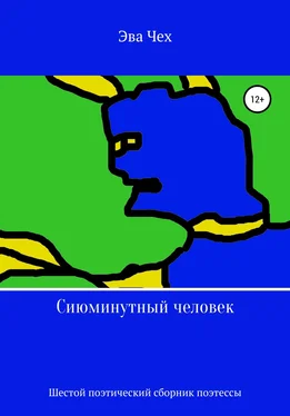 Эва Чех Сиюминутный человек обложка книги