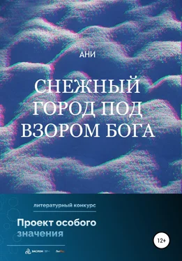 Ани Снежный город под взором бога обложка книги