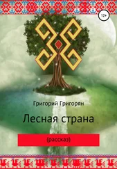 Григорий Григорян - Лесная страна (рассказ)