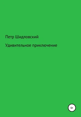 Петр Шидловский Удивительное приключение обложка книги