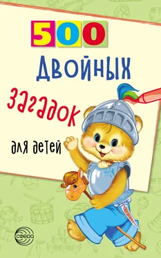 Владимир Нестеренко 500 двойных загадок для детей обложка книги