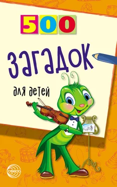 Игорь Мазнин 500 загадок для детей обложка книги