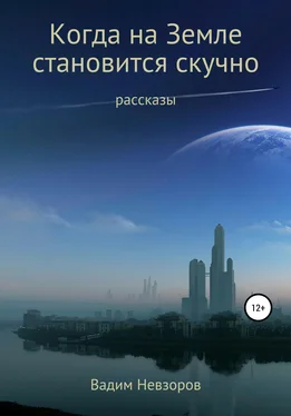 Вадим Невзоров Когда на Земле становится скучно обложка книги