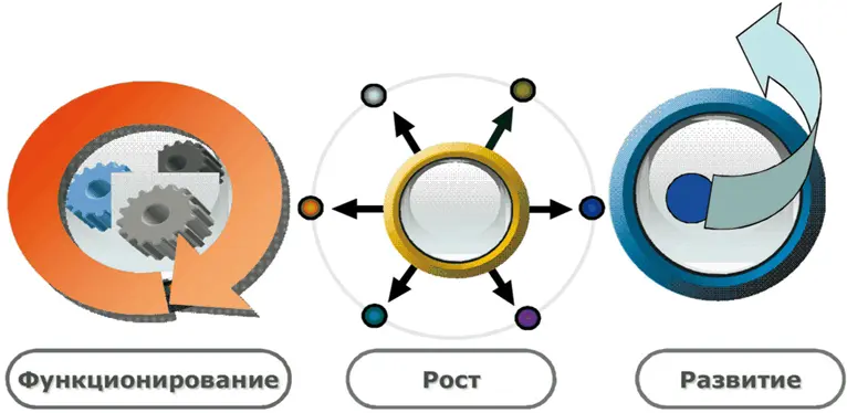 Рис 8 Основные стадии жизни системы функционирование рост развитие Очень - фото 8