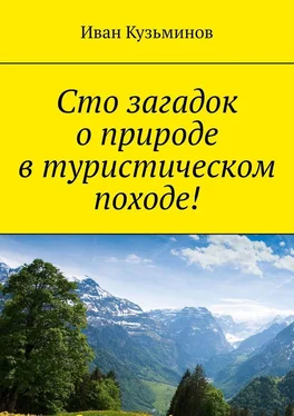 Иван Кузьминов Сто загадок о природе в туристическом походе! обложка книги