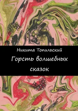 Никита Топильский Горсть волшебных сказок обложка книги