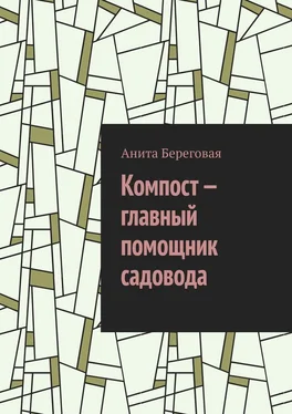 Анита Береговая Компост – главный помощник садовода обложка книги