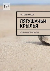 Mister Bambook - Лягушачьи крылья