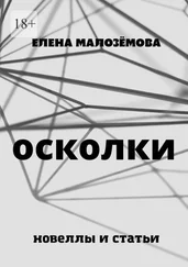 Елена Малозёмова - Осколки. Новеллы и статьи