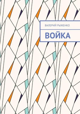 Валерий Рыженко Войка обложка книги