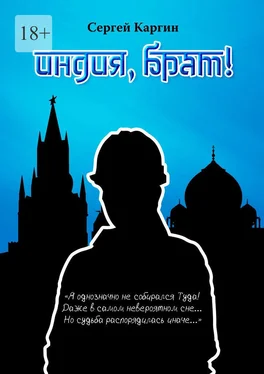 Сергей Каргин Индия, брат! обложка книги