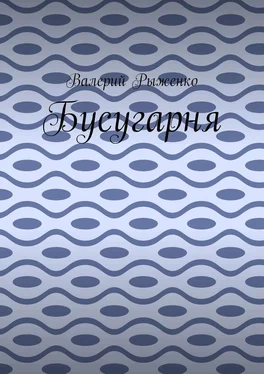 Валерий Рыженко Бусугарня обложка книги