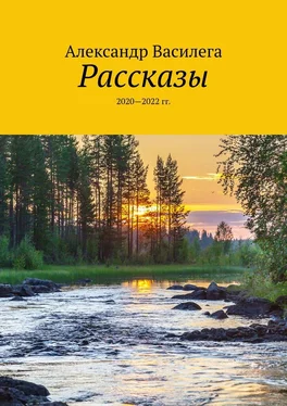 Александр Василега Рассказы. 2020—2022 гг. обложка книги