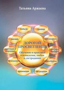 Татьяна Аржаева Дорогой просветления. Обучение и практики в ненасилии, любви и сострадании обложка книги