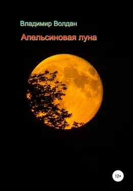 Владимир Волдан Апельсиновая луна обложка книги